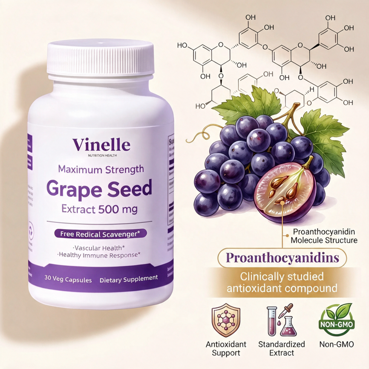 Vinelle Grape Seed Extract for Menopause Support